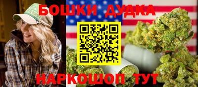 МДПВ Будённовск
