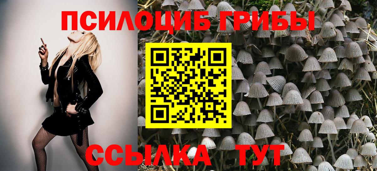 Псилоцибиновые грибы MAGIC MUSHROOMS  Вход с VPN  Галлюциногенные грибы MAGIC MUSHROOMS  Ливны 